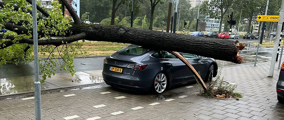 Tesla Model 3 przeżywa przerażające zderzenie z drzewem i wychodzi z niego bez szwanku!